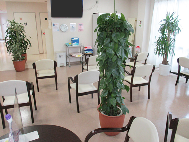 病院の観葉植物レンタル設置例
